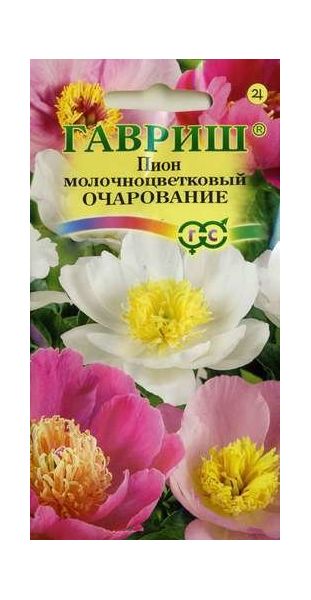 Семена Пион молочноцветковый Очарование 3 шт