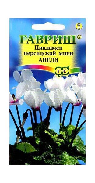 Семена Цикламен Анели персидский 3 шт.