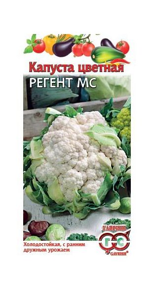 Семена Капуста цветная Регент МС 0,2 г