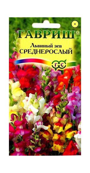 Львиный зев (Антирринум) среднерослый*, смесь 0,05 г