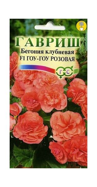 Семена Бегония Гоу-гоу розовая F1 клубневая 4 шт.