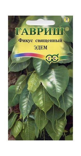 Семена Фикус священный Эдем 0,03 г