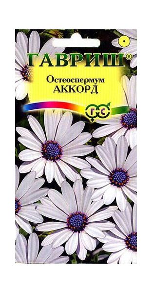 Остеоспермум Аккорд (белый) 0,1 г