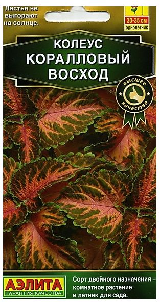 Колеус блюме Коралловый восход  10 шт. Аэлита