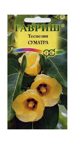 Семена Теспезия Суматра 3 шт.