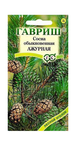 Семена Сосна обыкновенная Ажурная* 0,2 г
