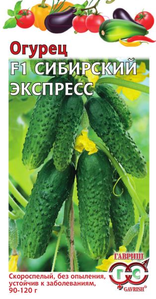 Семена Огурец Сибирский экспресс F1 10 шт