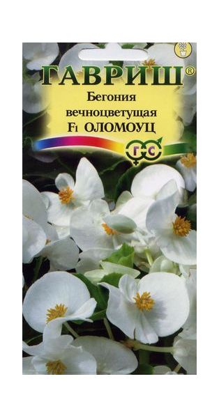 Семена Бегония Оломоуц F1 вечноцветковая 5 шт.