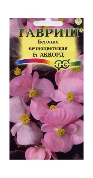 Семена Бегония Аккорд F1 вечноцветковая 5 шт.