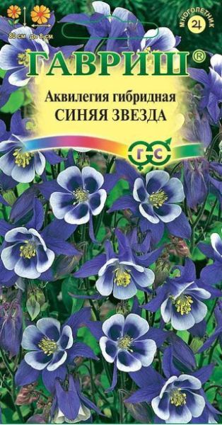 Семена Аквилегия Синяя Звезда культурная водосбор 0,05 г
