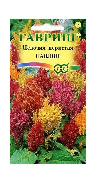 Целозия Павлин, перистая смесь* 0,1 г