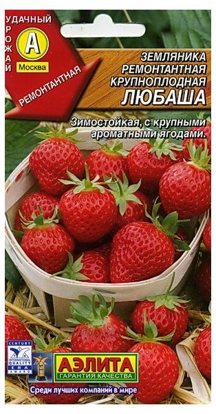 Семена Земляника Любаша крупноплодная,ремонтантая 10 шт Аэлита