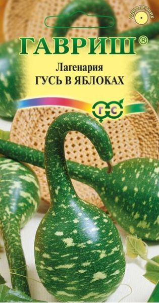 Лагенария Гусь в яблоках  5 шт