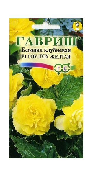 Семена Бегония Гоу-гоу желтая F1 клубневая 4 шт.