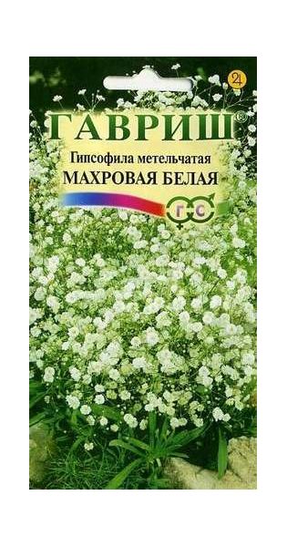 Семена Гипсофила метельчатая Махровая белая 0,05 г