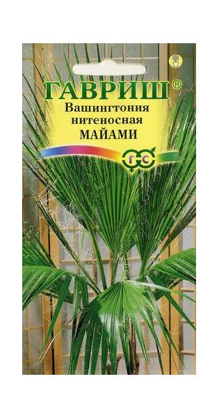 Семена Вашингтония нитеносная Майами 3 шт.