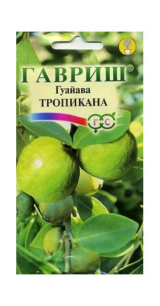 Семена Гуайава Тропикана 0,2 г