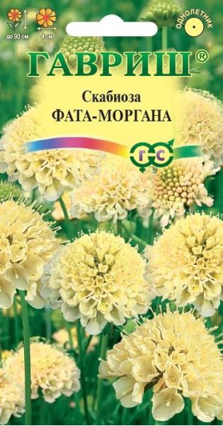 Скабиоза темнопурпурная Фата-моргана махр. 7 шт.