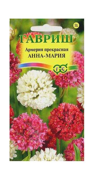 Семена Армерия Анна Мария красивая 0,03 г