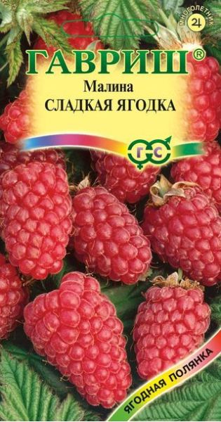 Семена Малина Сладкая ягодка 10 шт.