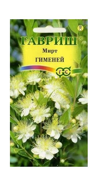 Семена Мирт Гименей 4 шт.