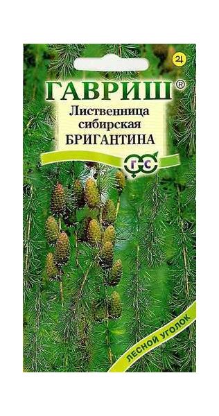 Семена Лиственница сибирская Бригантина 0,2 г