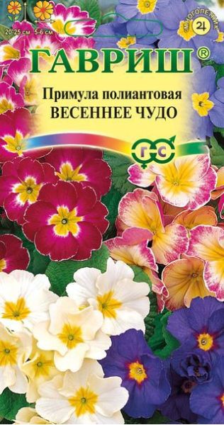 Семена Примула Весеннее чудо полиантовая 4 шт.