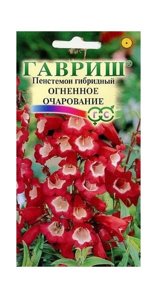 Пенстемон гибридный Огненное очарование* 0,1 г