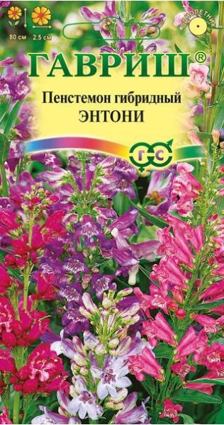 Пенстемон гибридный Энтони*, смесь 0,1 г