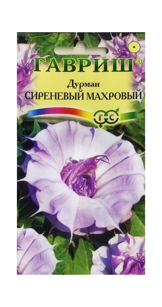 Дурман Сиреневый  Махровый* 3 шт.