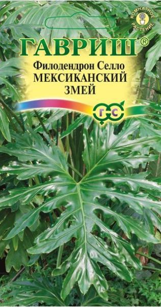 Семена Филодендрон Селло Мексиканский змей 5 шт.