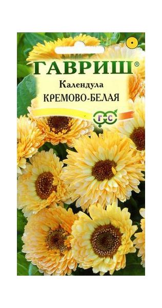 Семена Календула Кремово-белая 0,3 г