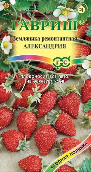 Семена Земляника Александрия 0,03 г
