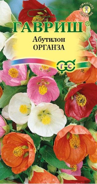 Семена Абутилон Органза смесь 7 шт.