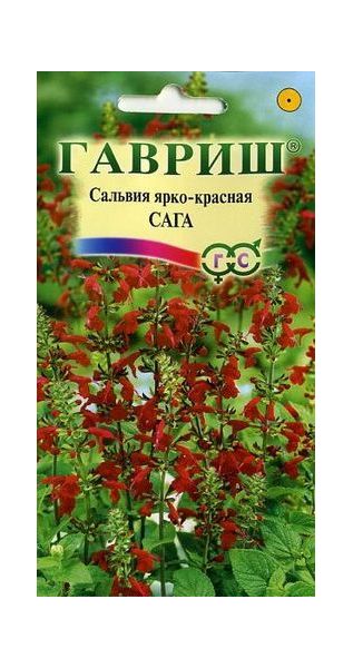 Сальвия Сага ярко-красная *  0,05 г