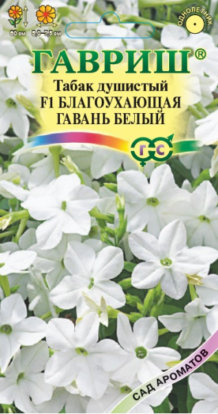 Табак Благоухающая гавань белая F1 душистый  5 шт. пробирка, серия Сад ароматов