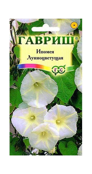 Ипомея Лунноцветущая 3 шт.