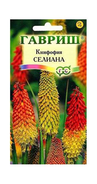 Семена Книфофия ягодная Тритома Селиана 0,1 г