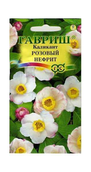Семена Каликант китайский Розовый нефрит 3 шт.