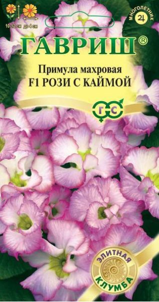 Семена Примула Роззи с каймой махровая 3 шт