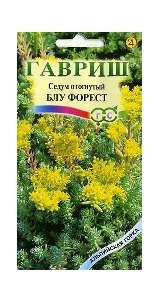 Семена Седум Очиток Блу Форест отогнутый 0,01 г