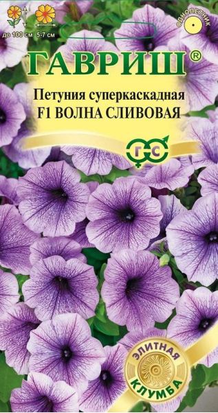 Петуния Волна Сливовая F1(Минитуния) суперкаскадная 4 шт. гранул. проб.