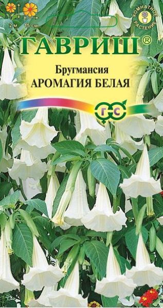 Семена Бругмансия Аромагия белая 3 шт.
