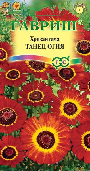 Хризантема Танец огня 0,5 г