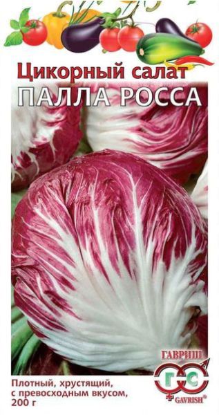 Семена Цикорный салат Пала Росса 0,1 г