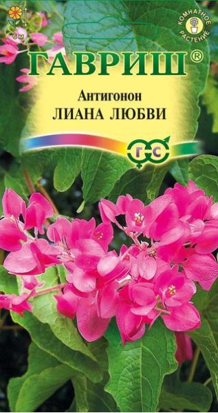 Семена Антигонон Лиана любви 5 шт.