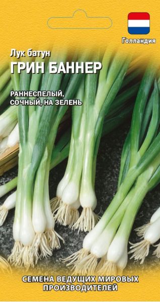 Семена Лук батун Грин Баннер 0,2 г Голландия