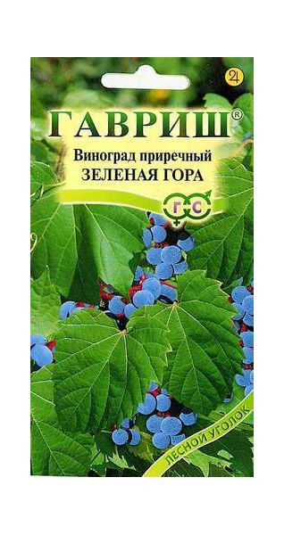 Семена Виноград прибрежный Зеленая гора 5 шт.
