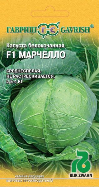 Семена Капуста белокочанная Марчелло F1 10 шт Голландия