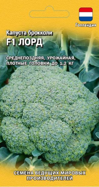 Семена Капуста брокколи Лорд F1 10 шт Голландия